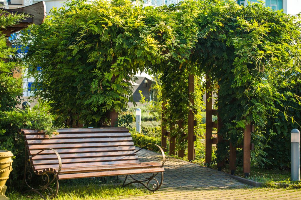 Snoeikalender voor struiken